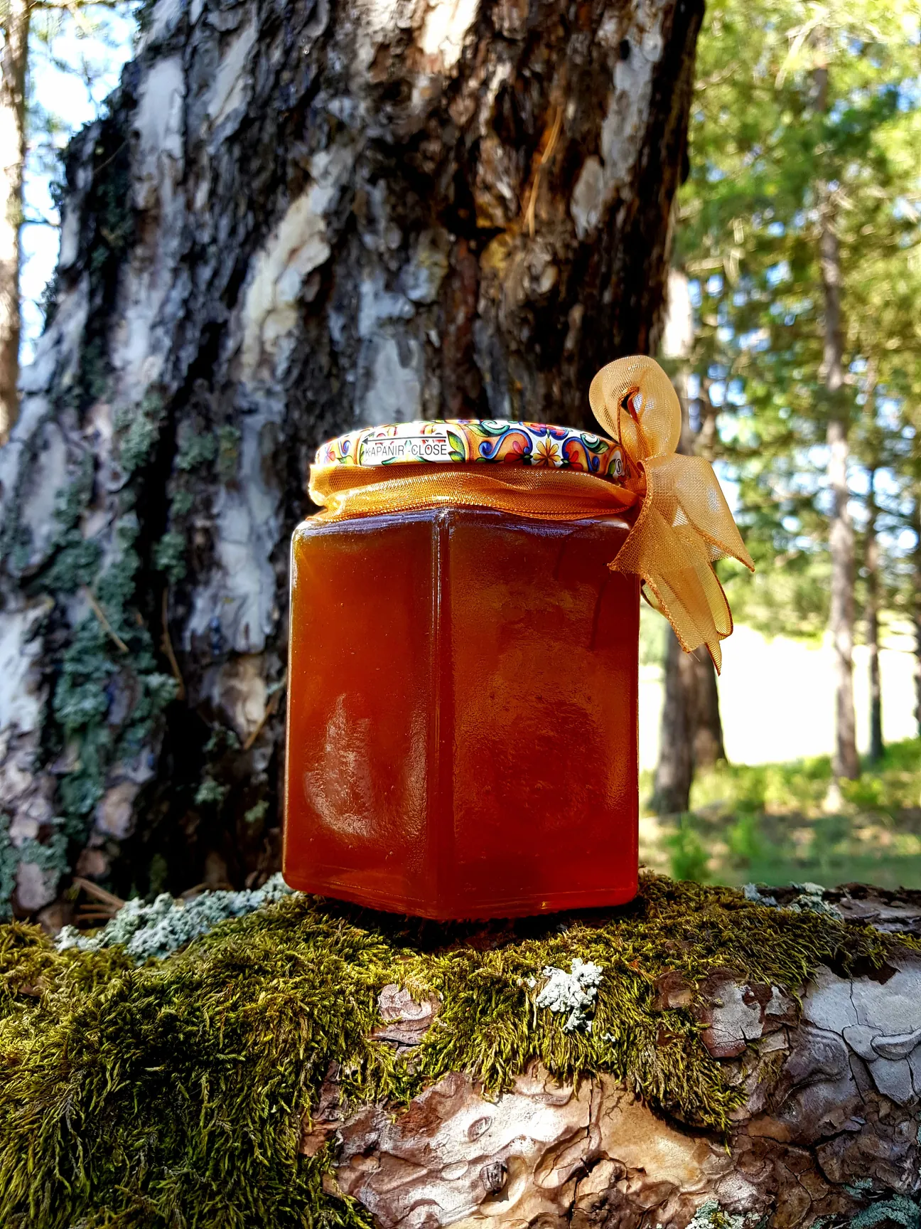 Polifloral Yüksek Rakım Orman Balı